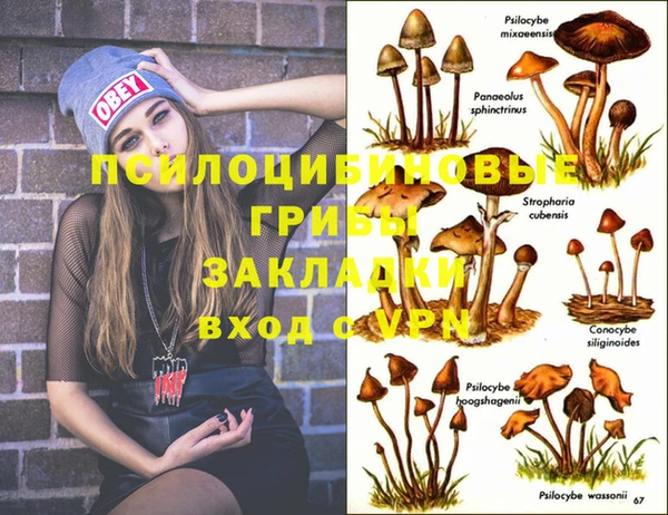 каннабис Верея