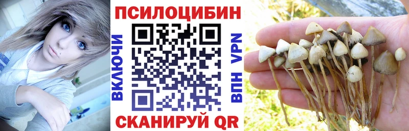 Псилоцибиновые грибы мухоморы  где продают наркотики  Качканар 